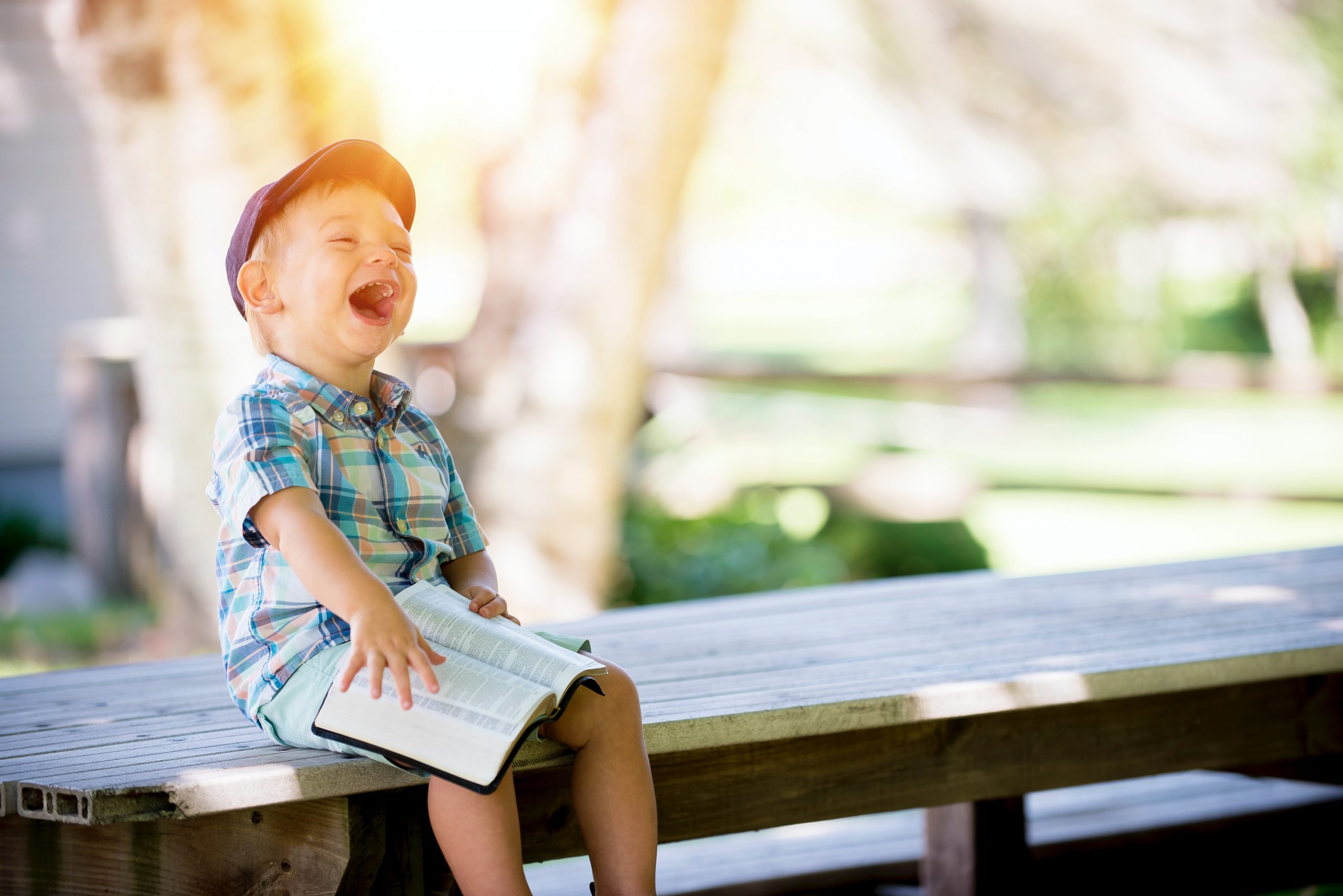 Child reading bible on bench