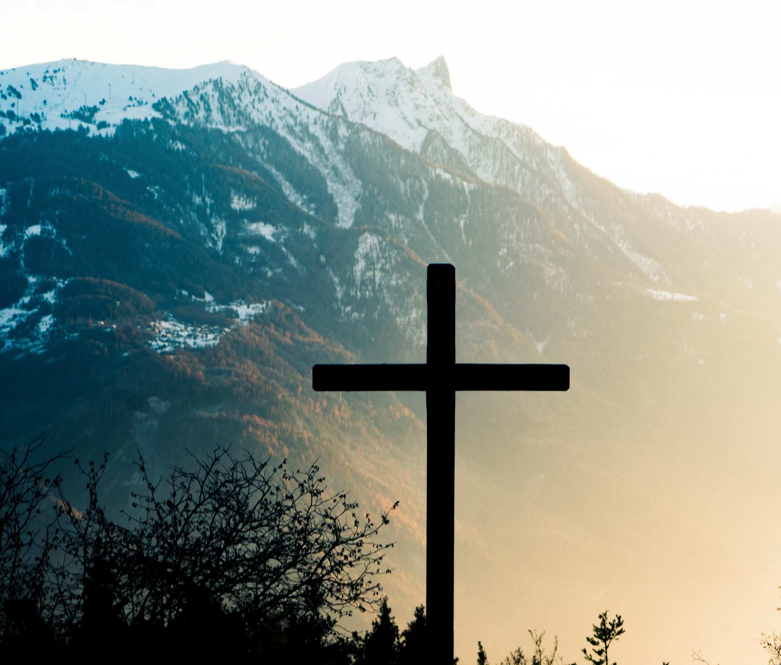 brown cross on brown tree near snow covered mountain during daytime