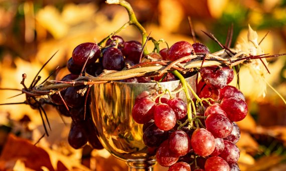 A glass of wine and a bunch of grapes