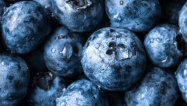 closeup of fresh blueberries