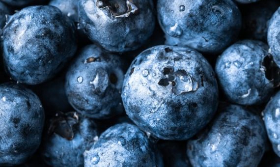 closeup of fresh blueberries
