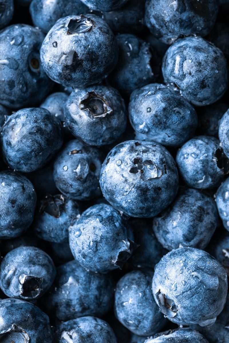 closeup of fresh blueberries